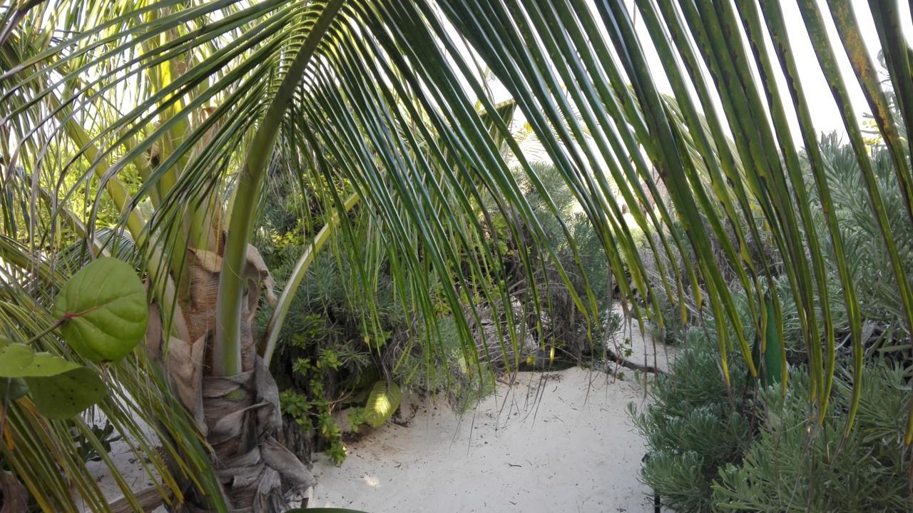 Eco Lodge Hotel Villa Tulum Exterior foto